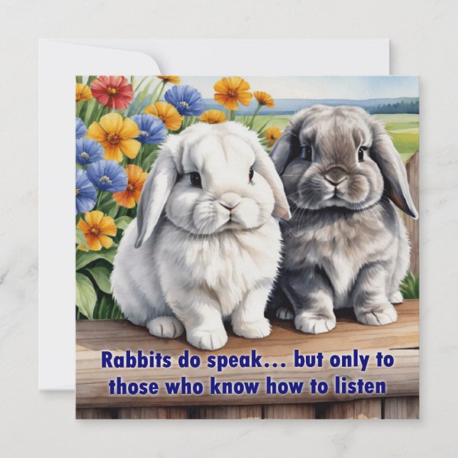 Carte Les Lapins Parlent Le Lapin Accumulé Lop (Devant)