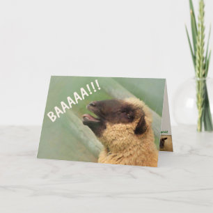 Carte Les moutons de BAAAAAA s'en sortent bien