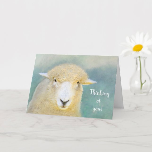 Carte Les Moutons Doux Et Aimants Se Font Bien (Petite plante)