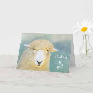 Carte Les Moutons Doux Et Aimants Se Font Bien