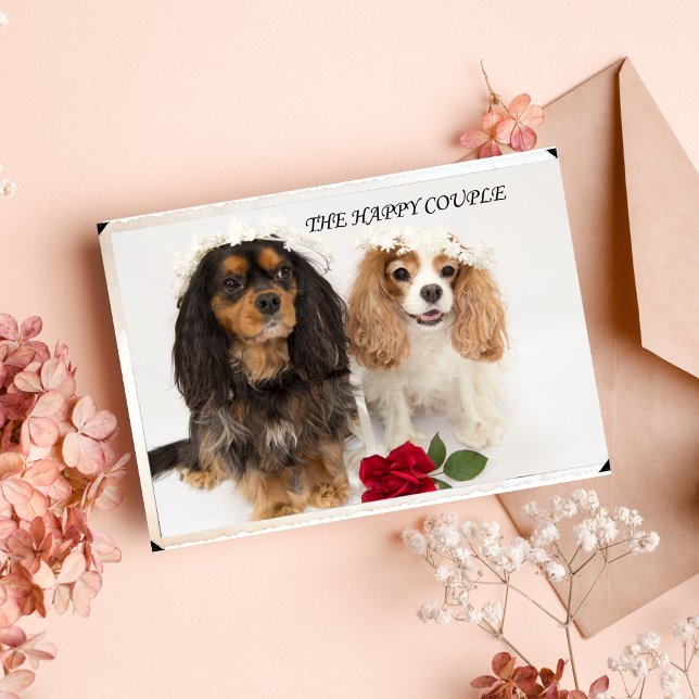 Carte Les Nouvelles Maisons Cavalier Roi Charles Spaniel (Créateur téléchargé)