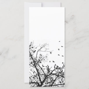 Carte les oiseaux noirs