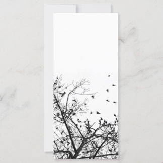 Carte les oiseaux noirs