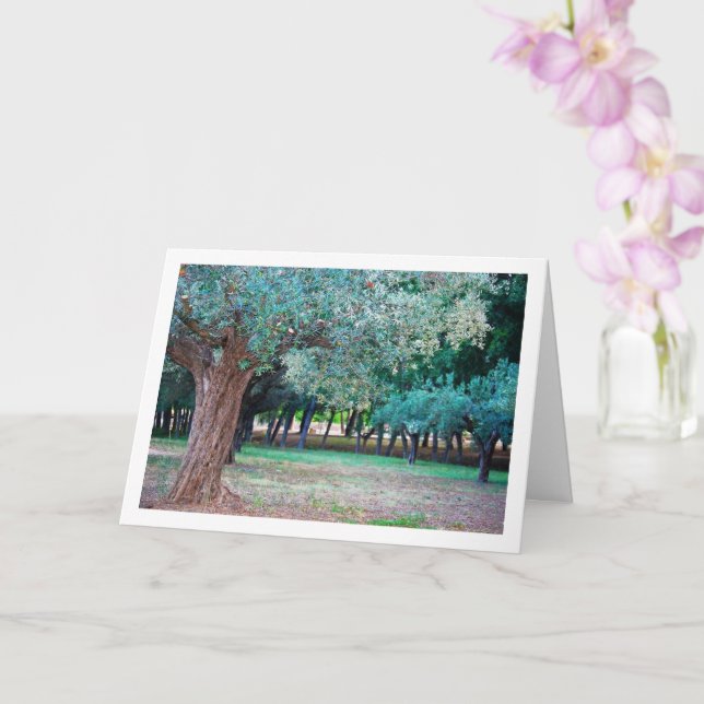 Carte Les oliviers dans le parc (Orchidée)