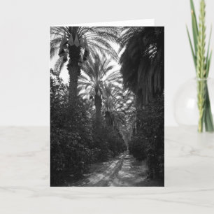 Carte Les paumes et les arbres oranges s'approchent de