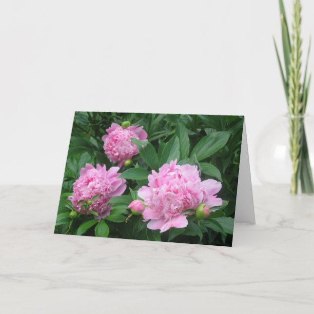 Carte Les pivoines (Devant)