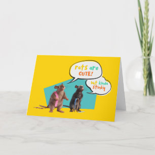 Carte Les Rats Sont Mignons Mais Plutôt Stinky