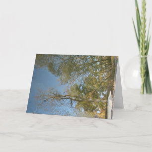 Carte Les réflexions sur l'arbre à la station de métro