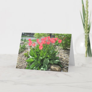 Carte Les Tulipes S'En Sortent Rapidement