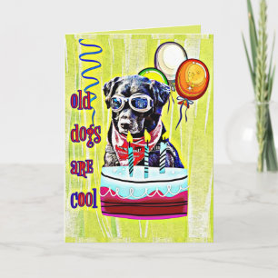 Carte Les vieux chiens sont Cool Joyeux anniversaire