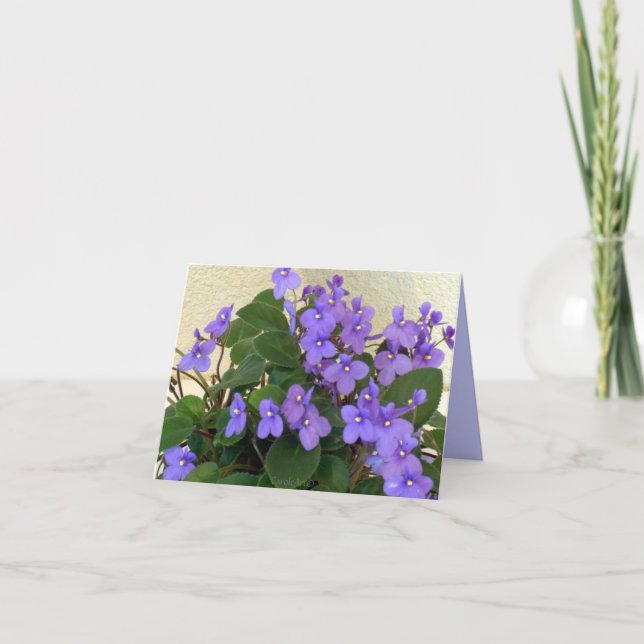 Carte Les violettes bleues les plus bleues (Devant)