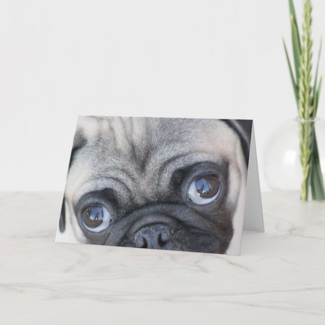 Carte Les yeux de Doobie (Devant)