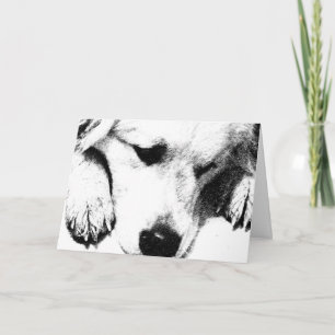 Carte Let's have a brownie card