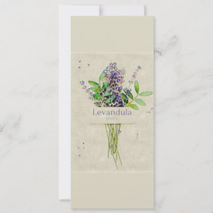 Carte Levandula spica l