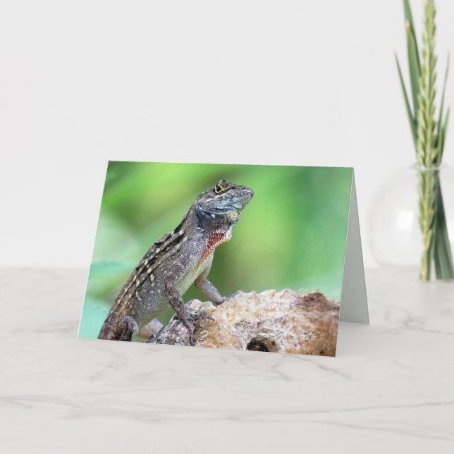 Carte Lézard (Anole Brown) (6891) - Blanc à l'intérieur (Devant)