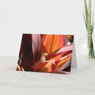 Carte Lézard de Kauai