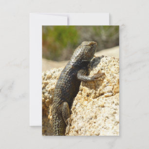 Carte Lézard épineux à dos jaune à Joshua Tree