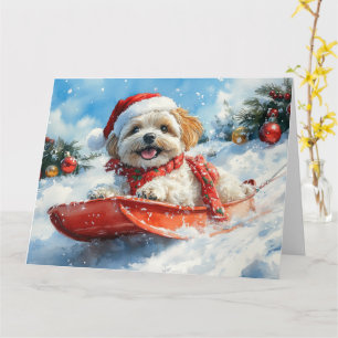 Carte Lhassa Apso Dog in Sledge Let it Neige Noël