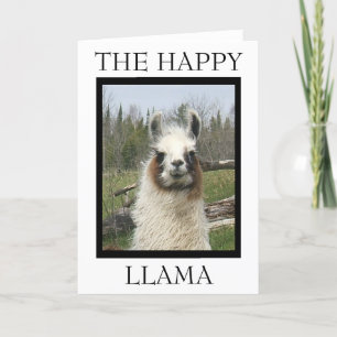 Carte L'HEUREUX salut LAMA