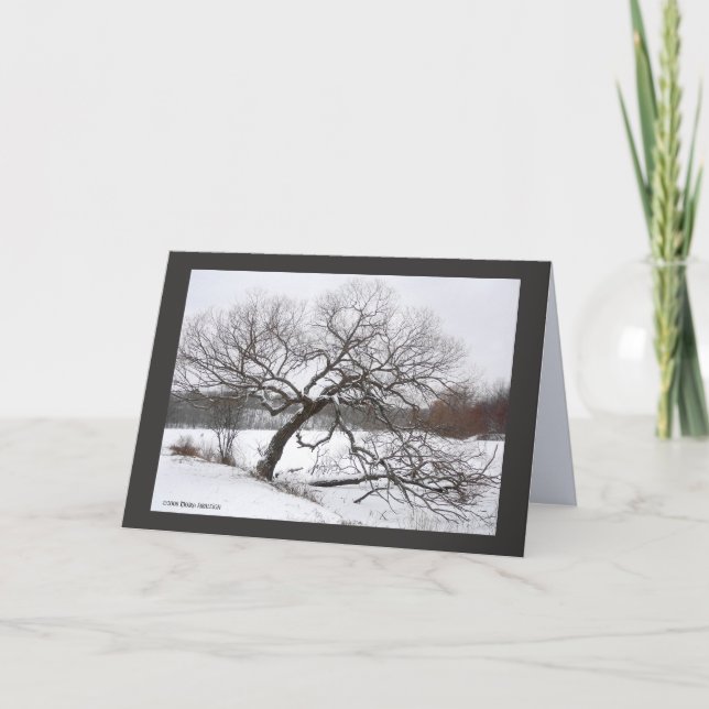 Carte L'hiver de Lady Willow (Devant)