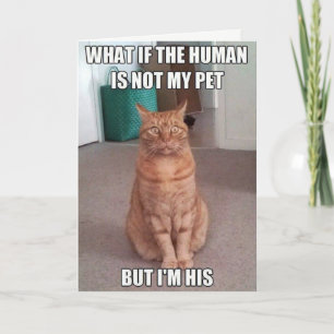 Carte L'humain n'est pas mon animal