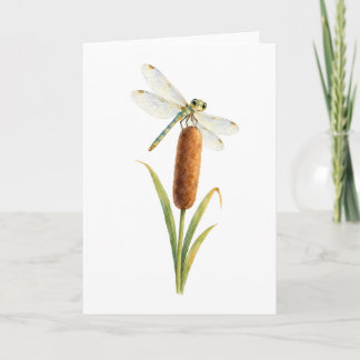 Carte Libellule sur un masset