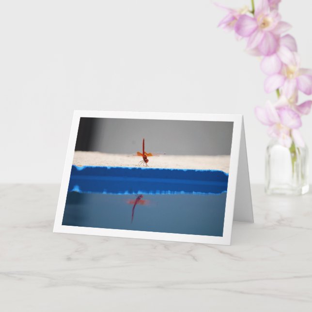 Carte Libellule Trithemis (Orchidée)