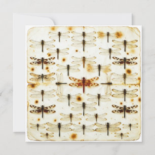 Carte Libellules de jardin vintage Libellules Insectes B