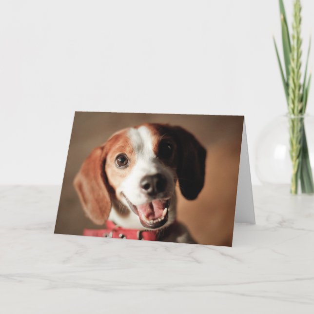 Carte Liberté beagle (Devant)