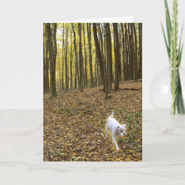 Carte Libre à exécuter (Devant)