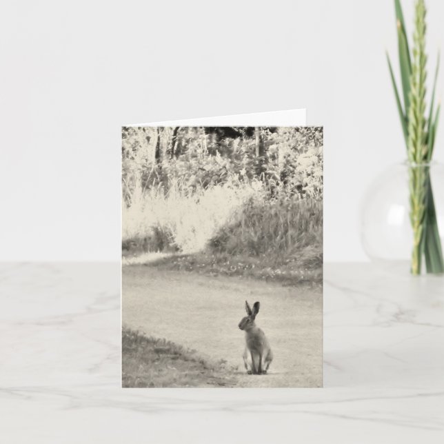 Carte Lièvres aujourd'hui (Devant)