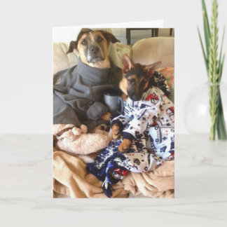 Carte Life est ruff.