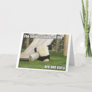 Carte Life is Hard Panda greeting card