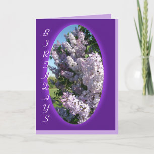 Carte Lilac Purple Oval Birthday- customize