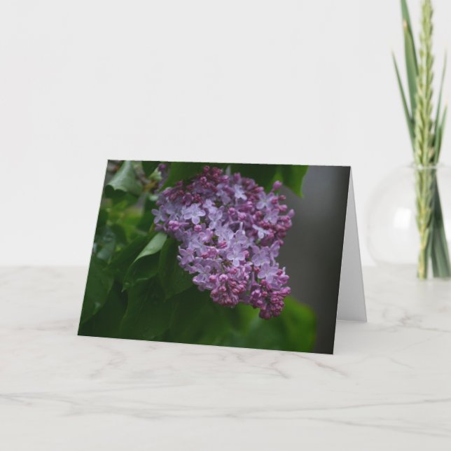 Carte Lilas (Devant)