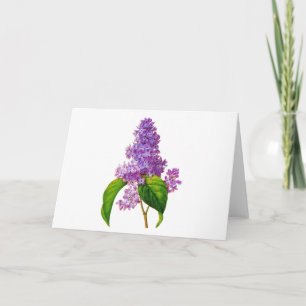 Carte Lilas de Redoute