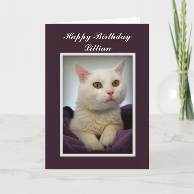 Carte Lillian Happy Birthday White Cat Card (Devant)