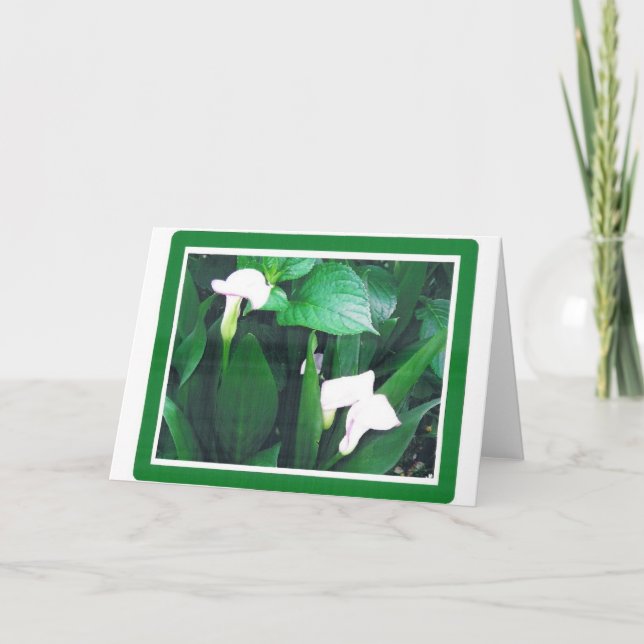 CARTE LILLIES BLANC (Devant)
