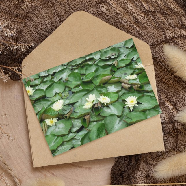 Carte Lillies d'eau (Créateur téléchargé)