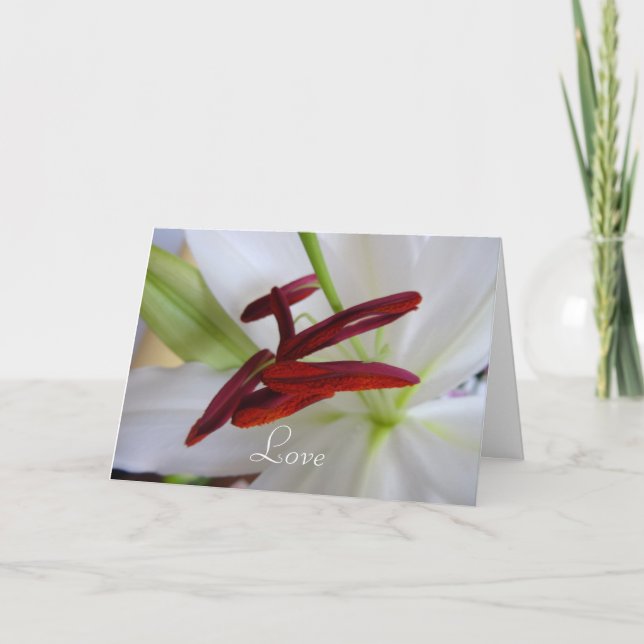 Carte Lily blanche, fleur. (Devant)
