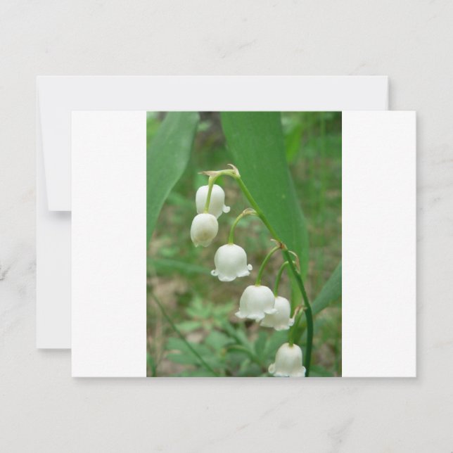 Carte Lily de la vallée (Devant)