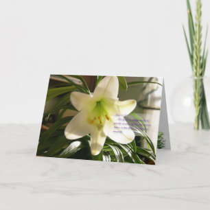 Carte Lily de Pâques