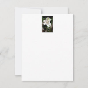 Carte Lily Flower.