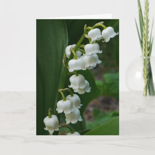 Carte Lily-of-the-Valley (Devant)