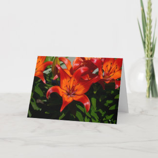 Carte Lily orange rose foncé