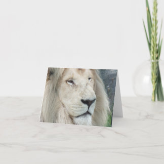 Carte Lion blanc