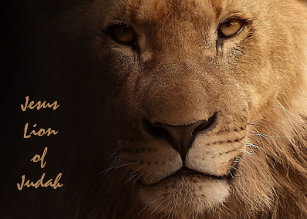 Invitations Faire Part Cartes Citation Lion Zazzle Ca