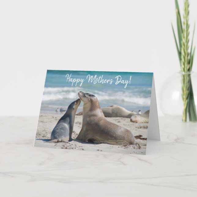 Carte Lion de mer australien et bébé mignon, fête des mè (Devant)