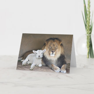 Carte Lion et l'agneau