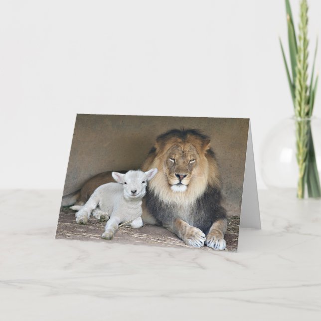 Carte Lion et l'agneau (Devant)